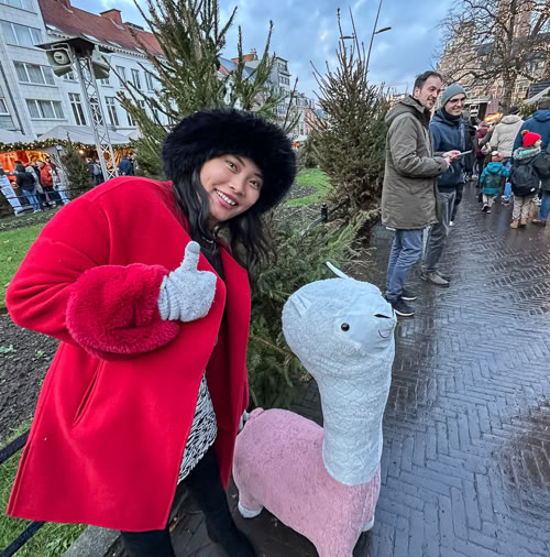 De Leuvense Kerstmarkt