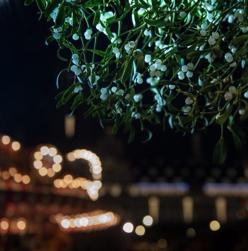 De Leuvense Kerstmarkt